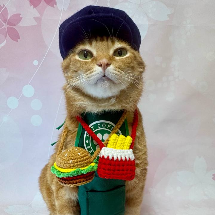 07dfc548 af27 4c92 b75c b74a34458ab5 1767873283383