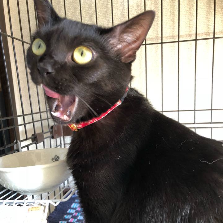 07dfe686 300c 478e 9ac8 ee4c7acfbaaa 1530312151585