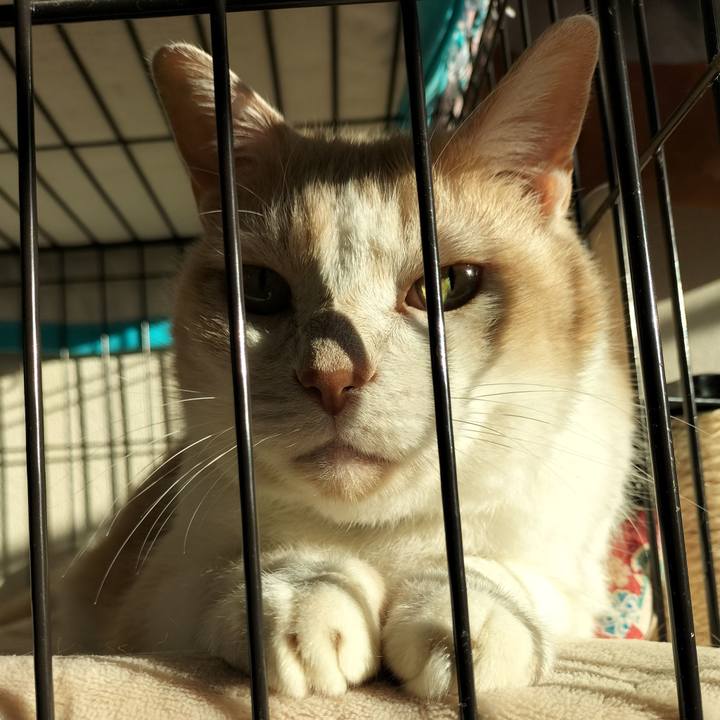 07e004ec 9d23 4751 9d9e f20edcbc889b 1635460689132