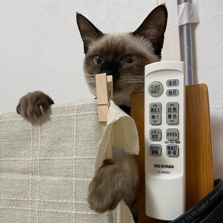 07e05be9 69d4 442e b208 fcc5d60ee814 1699211644667