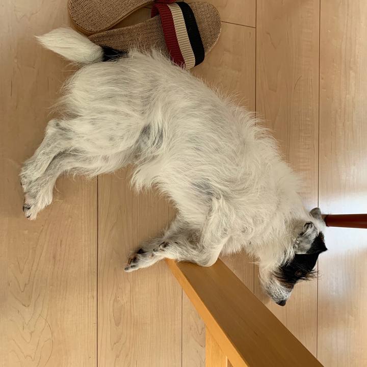 07e08129 5149 4263 bb40 226be6f22f3e 1559199496021