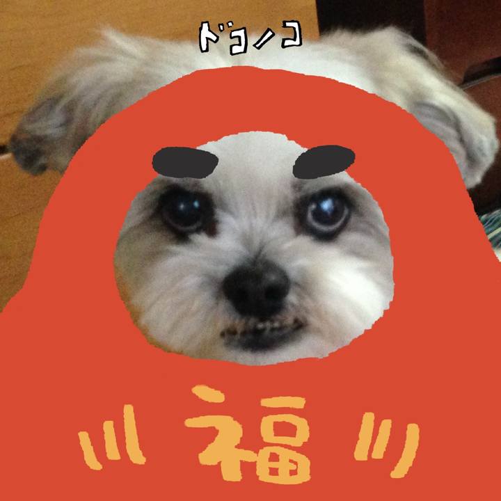 07e09c17 bd66 47f0 a19b 46d28e33b869 1772461585682