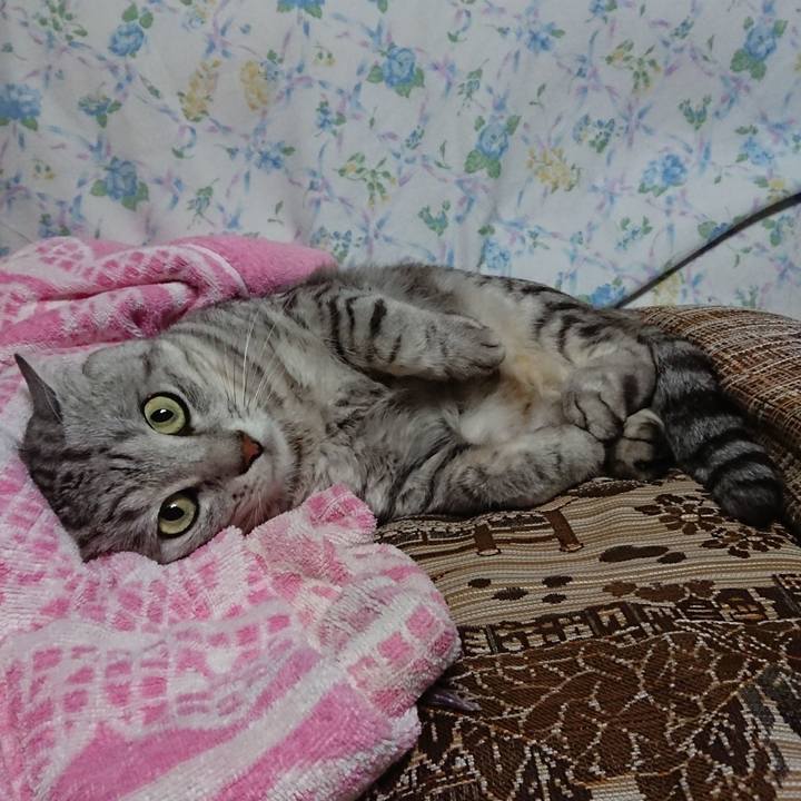 07e0abd8 84c0 4532 9cd8 b9ff1ed022bb 1539343318686