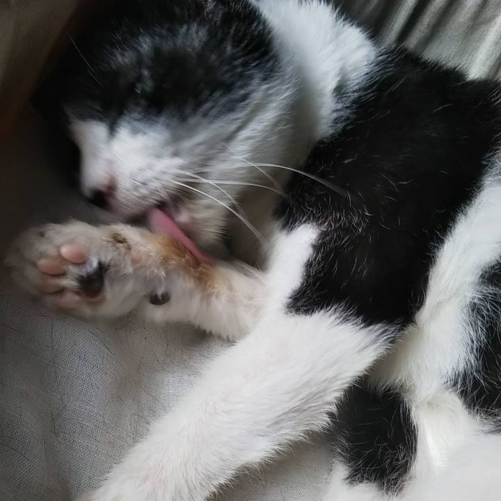 07e0c112 15b1 4749 84d3 4389293ae24c 1644710670817