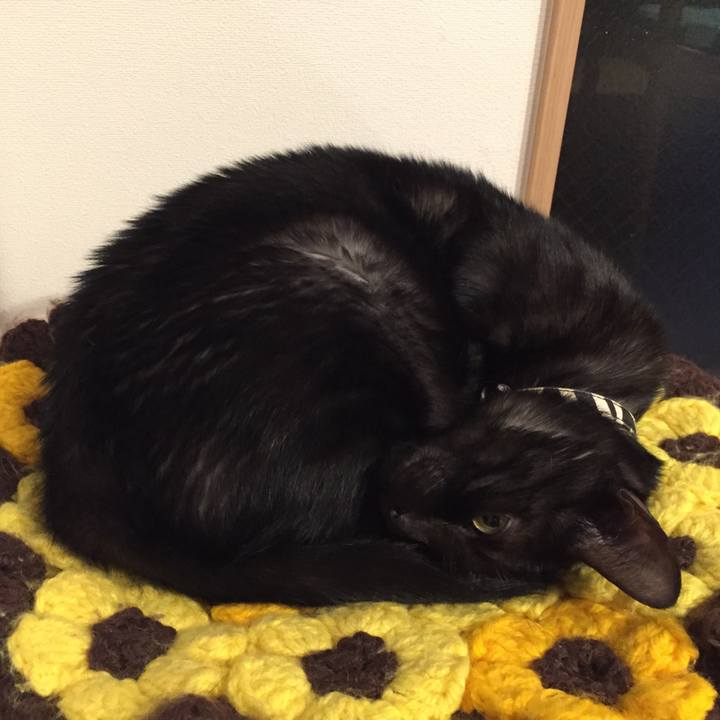 07e0c177 ba39 4617 b7a5 c3ea6a83e4b9 1539362344288