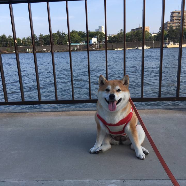 07e0cfba e2b7 4d15 a1dd c805e8b5d06d 1565996684531