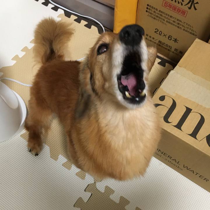 07e10006 3b19 41cd ad62 b311538190a9 1626183488056