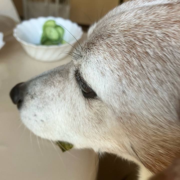 07e11cc2 fdc6 4541 b1c2 ddb39b11ebbe 1763684170793