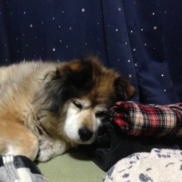 07e14a54 5868 4e3f bee5 bdad50d88730 1610333762858