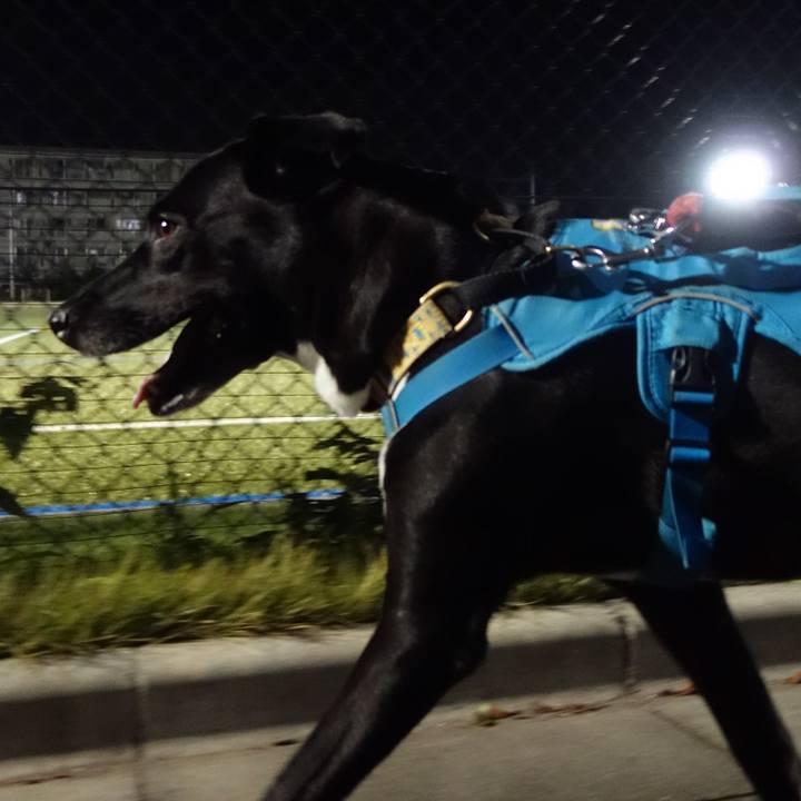 07e167a7 338a 4257 a126 404150fbc5b0 1632740086303