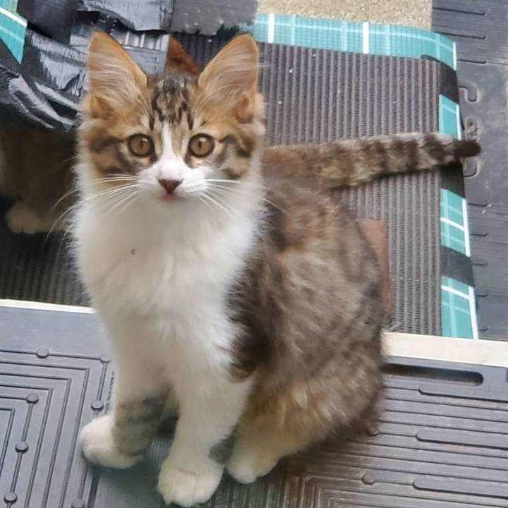 07e16ae4 f23e 4fe8 ae5f 379034c65800 1687569897439