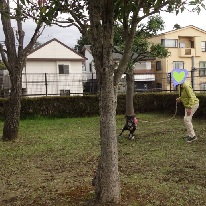 07e1c6ce 07ef 4106 95c2 8c474ca8031a 1680914215959