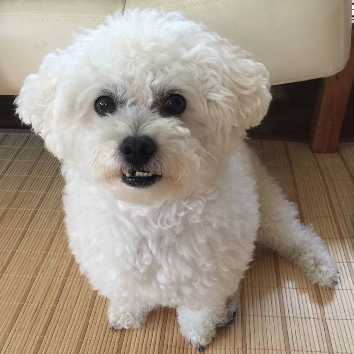 07e1ee73 4f0f 4946 8dcb 71a4d3739f4a 1531264431035