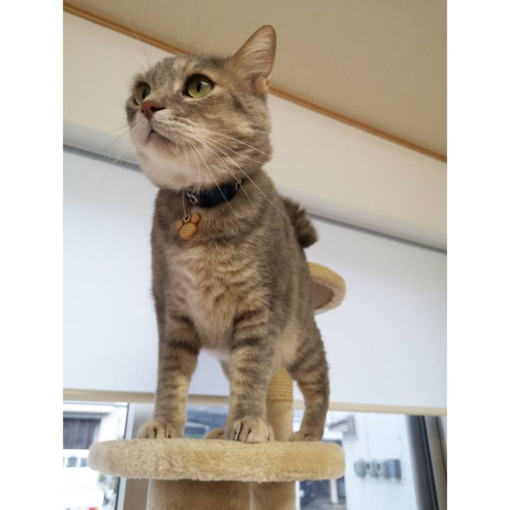 07e1fc33 61c1 4ab9 b848 dd8376fbfbac 1589514523176