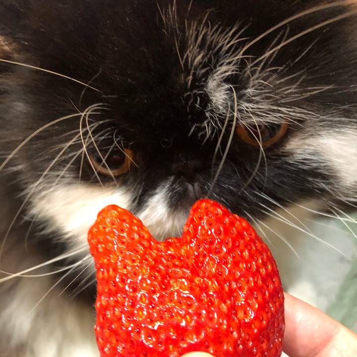 07e21f60 7616 44a4 99b6 4fb542c7390c 1611477768776