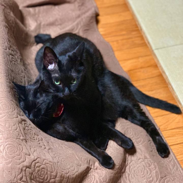 07e21fbb 7295 4015 b070 cc0a55c01f71 1575986925812