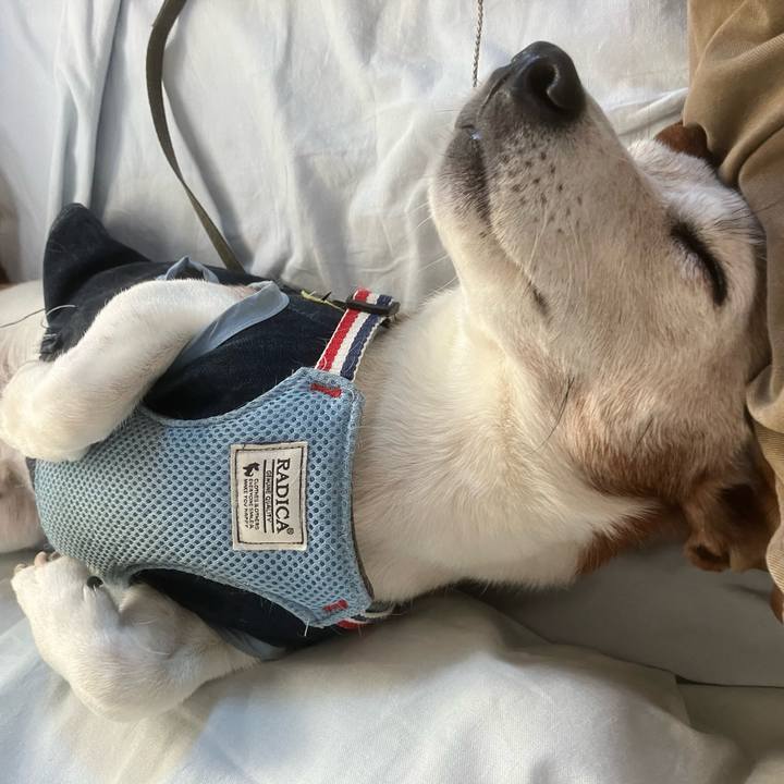 07e22f11 d538 4816 9e9a acb0355a07c5 1763249081874