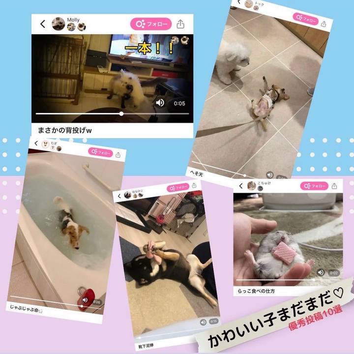 07e232ec 0a67 4ccc baff a80872ccd2a0 1649196789111