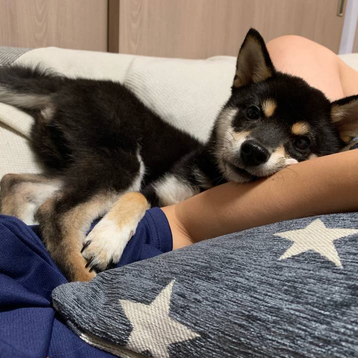 07e24253 c0f4 47c1 8a7d 553ed81a9dc2 1561035997542