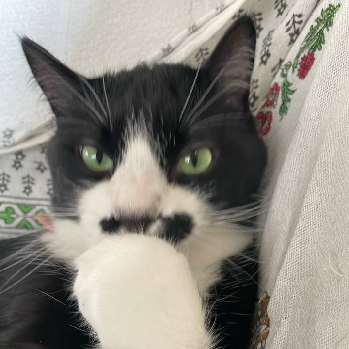 07e2473d 3346 4677 b7ef 61e663d6c866 1752011928248