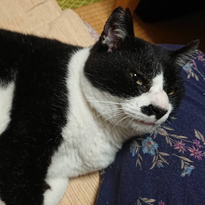 07e254ca a28f 4a81 a40a da1b6fe85aa1 1622106659926