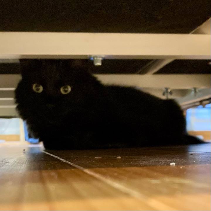 07e2b223 8ccc 4266 be44 79e3ee7946fa 1752750892259