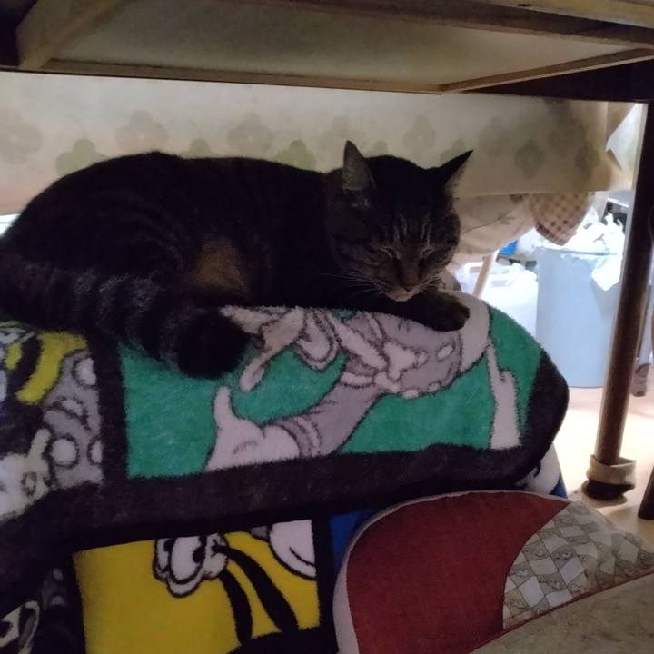 07e3007b 7ef2 47db 87f1 e6b88bbab134 1667736260777