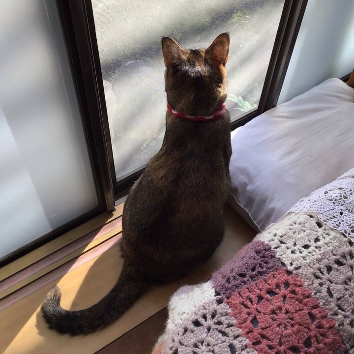 07e31c57 0b57 43e4 a3bb a0d105c99e00 1605401531860