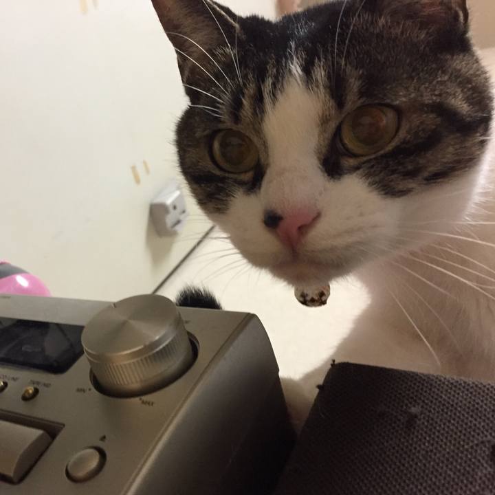 07e33aaf 0751 465f b821 ec25a9c8e73a 1519913388853