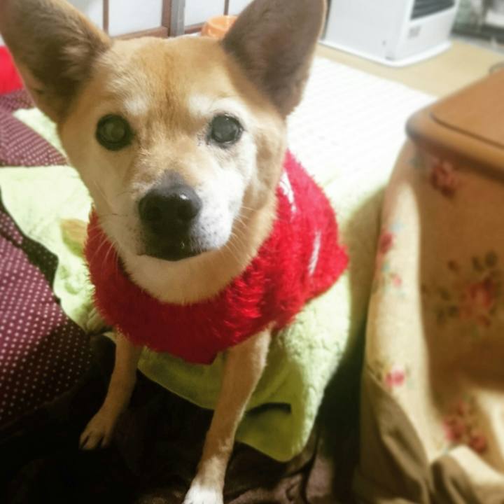 07e36757 5273 4eff b9b6 cfc2c6bd9e56 1588736044697