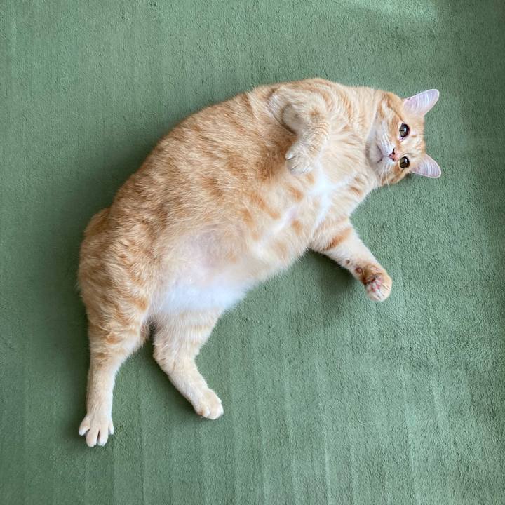 07e36cae e560 4bca 8da6 eff0b2b93f48 1772170523995