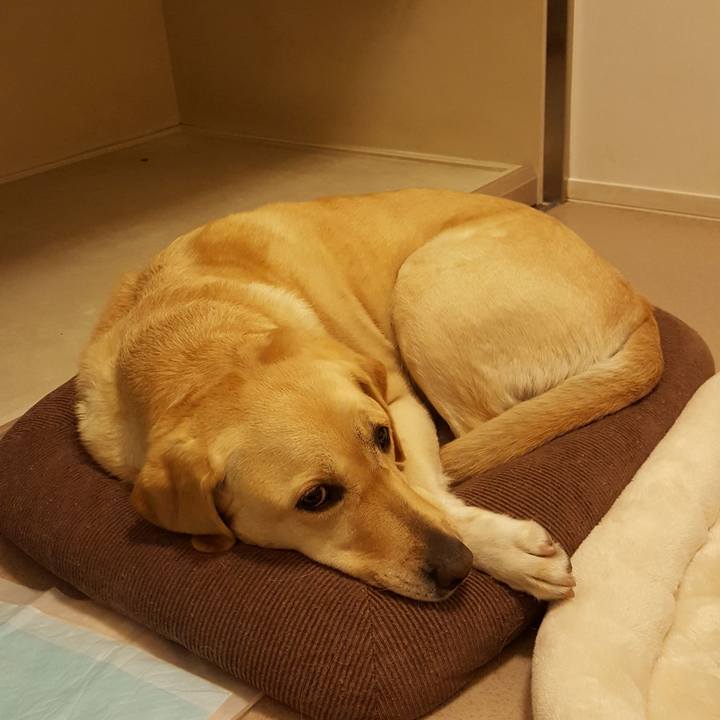 07e410d2 e63b 4e28 94f4 b832d5f1f015 1523803020794