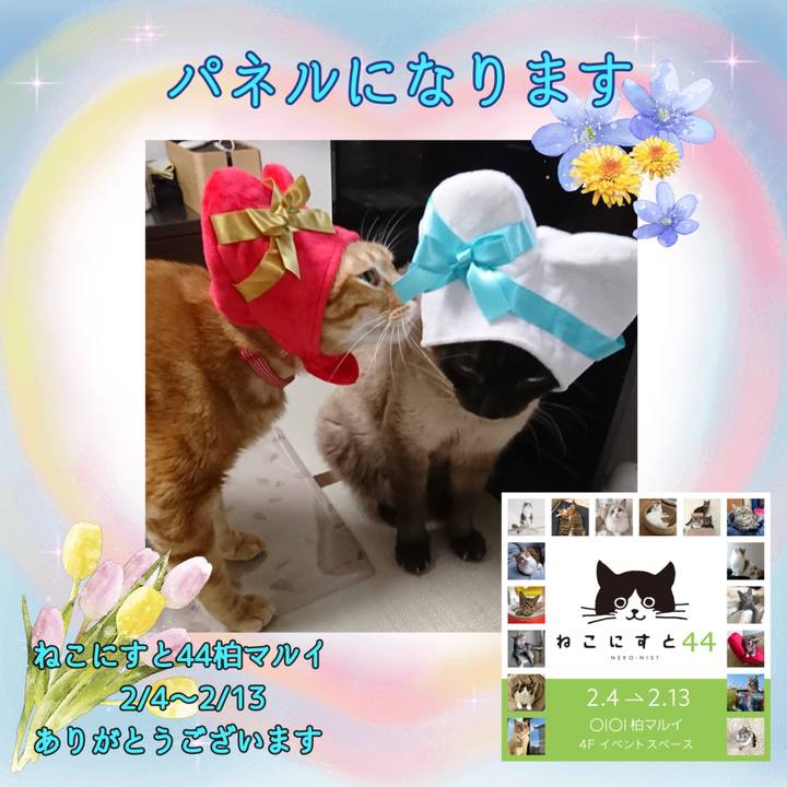 07e412e8 f247 46f0 bba6 3dee42c46333 1640680542571