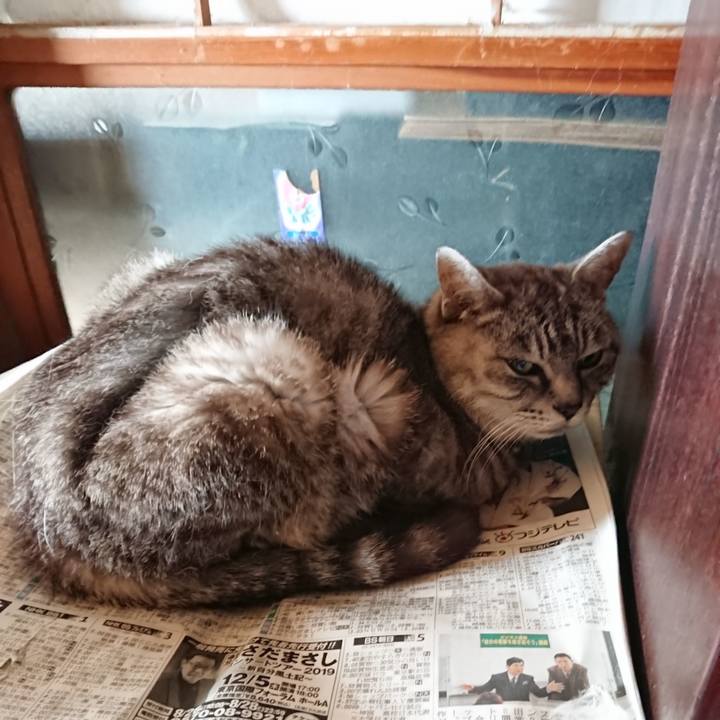 07e414b4 2e10 47d6 bd7a df29f2db8da6 1568499521374