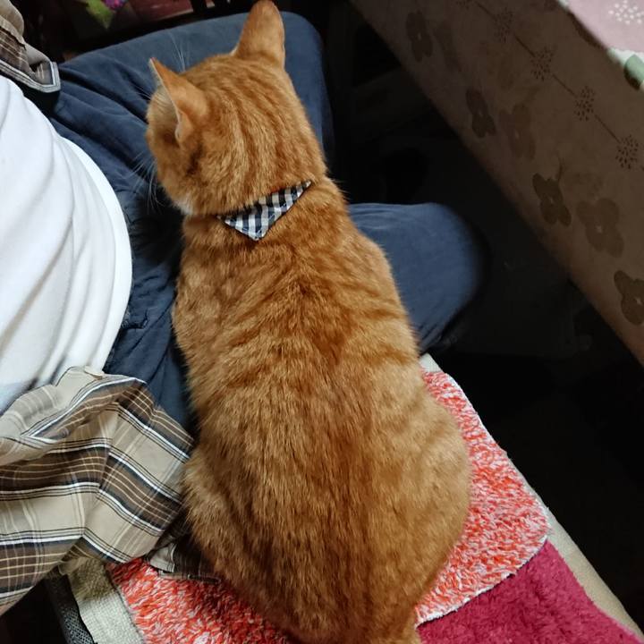 07e41692 9c3b 4855 ba90 f01bf4993a26 1569407896179