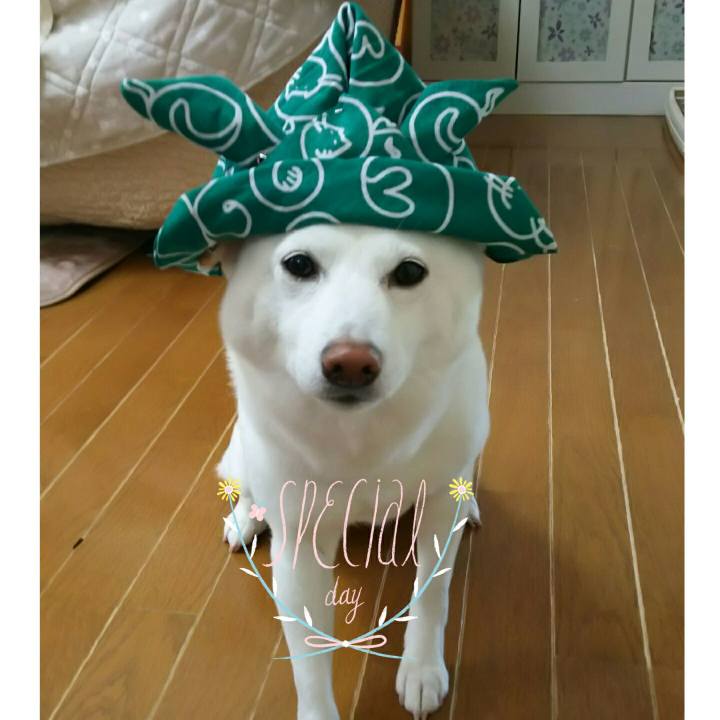 07e434ee a247 4176 b10b ca93df37bc4e 1525486674347