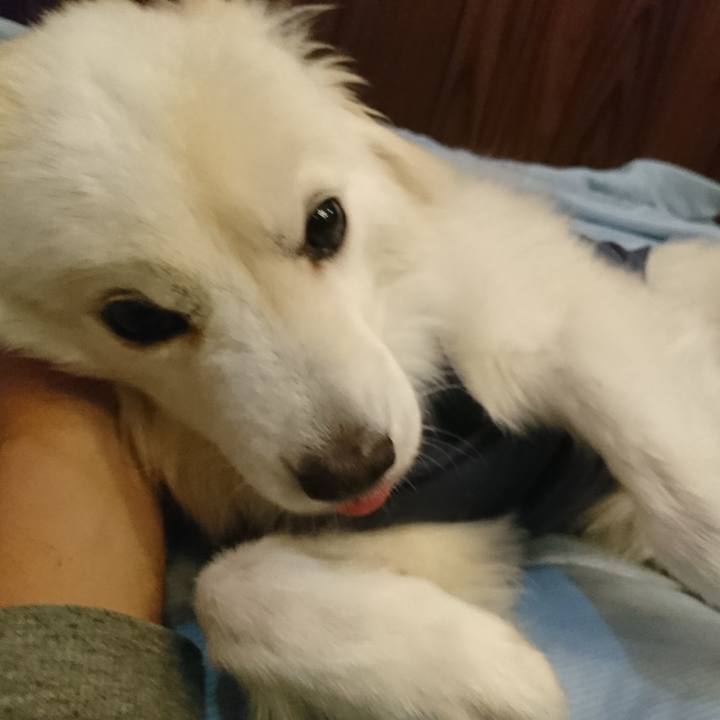 07e43ac5 ca46 4a1b 879a 530c35c753b4 1548945133565