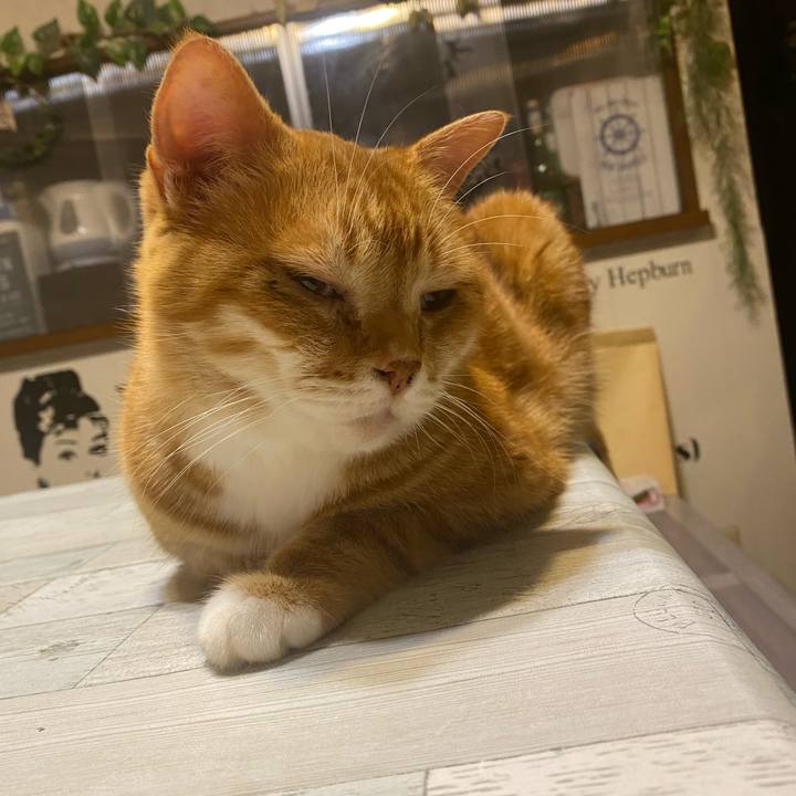 07e47e60 8f33 466a b593 fc5cde213e1f 1622719486313