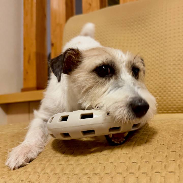 07e4a5cb a697 4d52 bac2 0d09f765e028 1761055029206