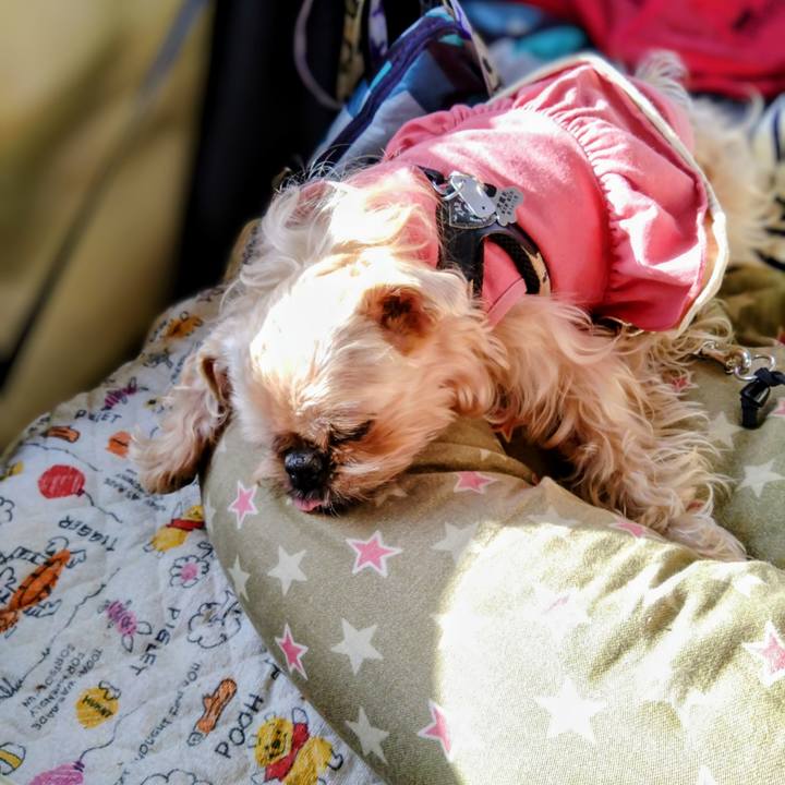 07e4e4e0 a48f 4a83 9faa d6748fc885d5 1700385822074