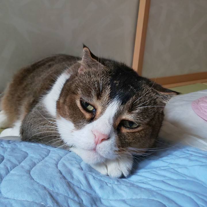 07e4e854 6a7b 4d87 bcfb 752236d4553d 1631343132635