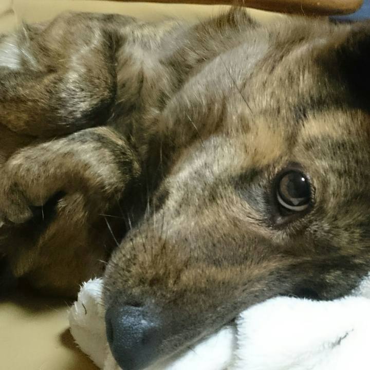 07e51a6b 1718 4f8c 834b 82dac6719ea8 1518257028092