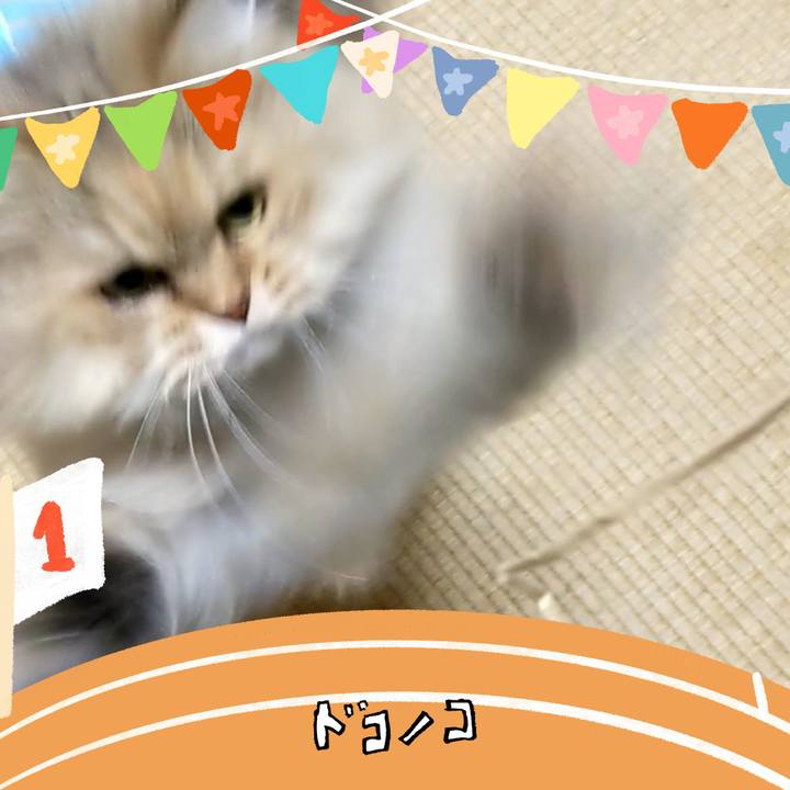 07e527d3 c413 4d27 b513 9e024d784332 1761610077915