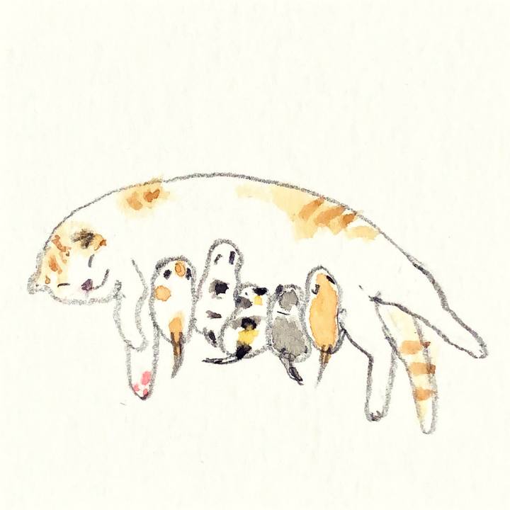 07e52d44 6a59 4b35 8988 a27246768291 1641476834376