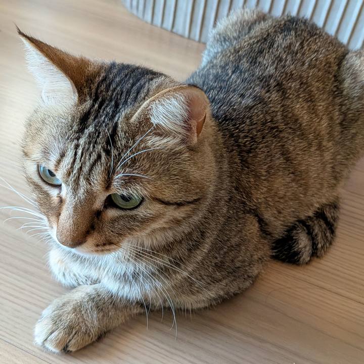 07e52f3c 3e06 428a 92e1 2e9009f3a5a0 1766186456467