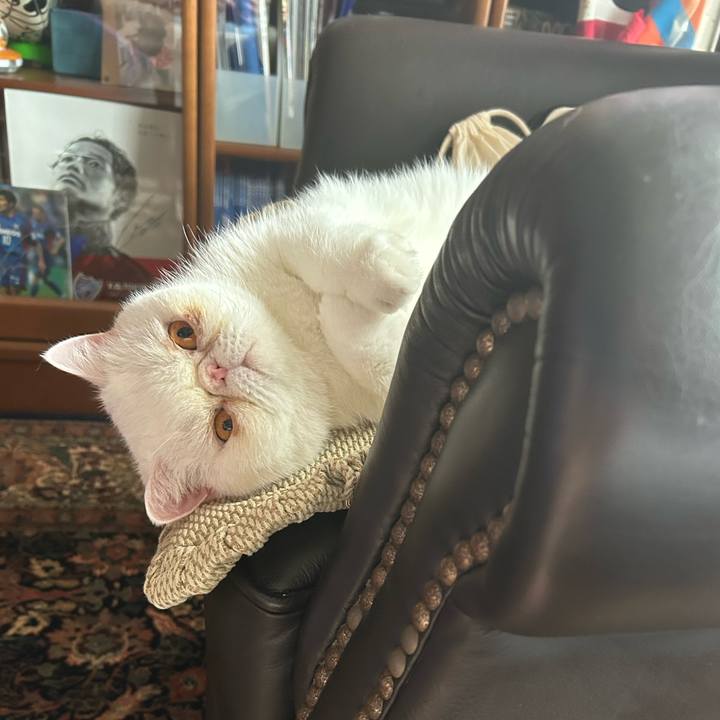 07e53ae6 7163 4b6c a52f f63b35bad97b 1696385862198