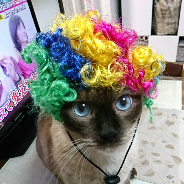 07e53fff b827 49d9 8003 2029f0e2ad3b 1537364347409