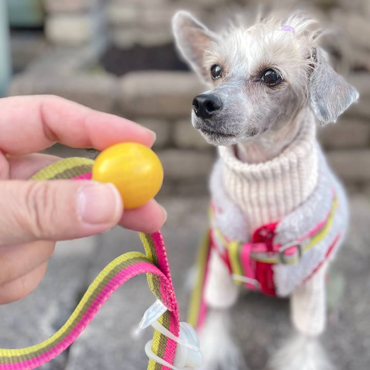 07e56127 f131 4eba bc60 6929267ea98c 1763107093726