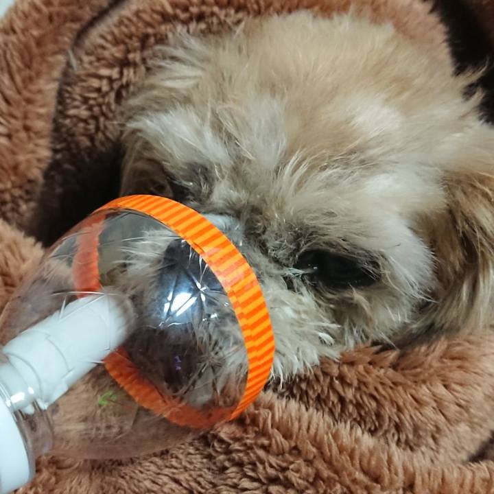 07e57652 b250 4699 bdb2 731629a92775 1555509374279