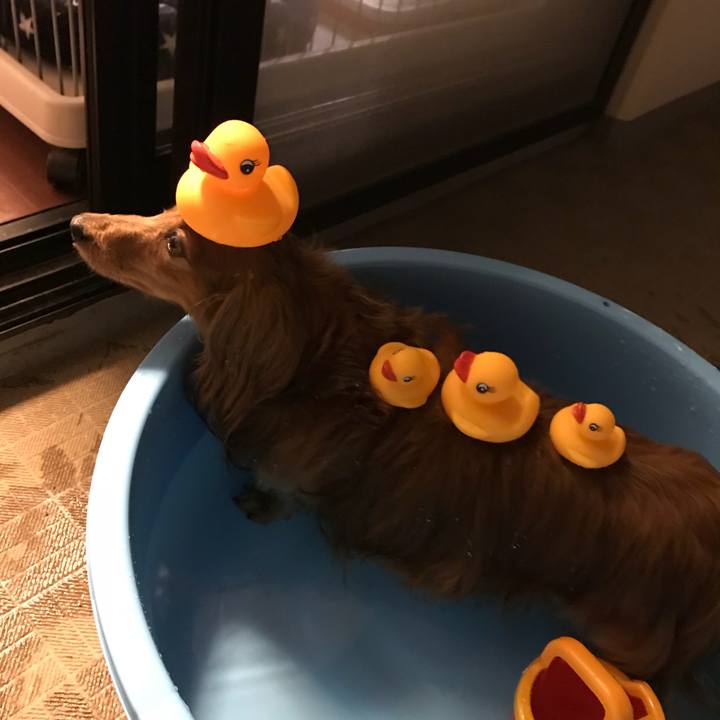 07e5765e 28af 405c b52b 2ddc5c291c48 1531738205993